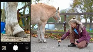 Hoe maak je de beste hoevenfoto's?