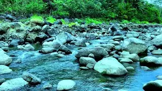 Relaxing River Flow for Stress Relief | Peaceful Water Sounds for Sleep