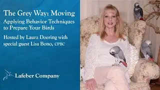 The Grey Way 27: Moving &ndash; Applying Behavior Techniques to Prepare Your Birds