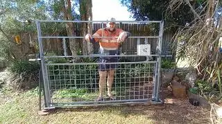 Feral Pig Trapping Made Quick & Easy