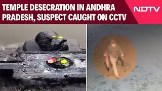 Andhra Temple Desecration | Temple Desecration In Andhra Pradesh, Suspect Caught On CCTV