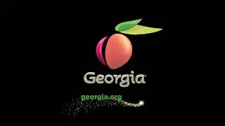 Swift Justice Productions/Georgia Entertainment Industries/CBS Television Distribution (2010)