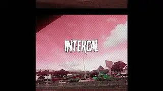 intercal - i miss everything