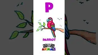 ABC Animals - Animal Drawings #shorts #shortsvideo #abc