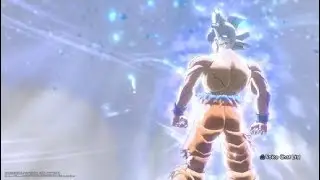 NetExpert Vs DarkKnight545 In A Nut Shell