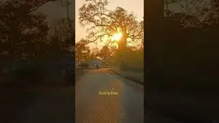 Sunset Views ❤️Peaceful Versions of Evening #music #bollywood #trending #like #biker #shorts