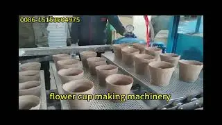 biodegradable peat pot making machine.flower cup forming machinery suppliers from china