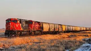 EXTREMELY RARE! CN SD75iACC leader! CN 8331 leads CP Grain train Westbound at Bassano, AB  