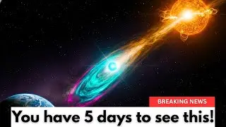 What NASA Found When Earth Aligned With This Comet