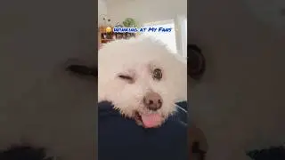 😉Winking at My Fans!✨