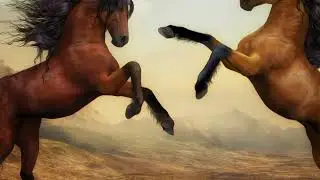 My Cute Animal Friends&ndash; Elephant, Zebra, Tiger, Squirrel, Cat, Hippo, Tortoise , Animals Sound