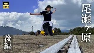 4K映像【尾瀬ヶ原 水芭蕉2021】後編  見晴から鳩待峠に戻る