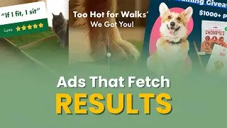 Paws-itive Creative (Winning Pet Product Ads We Made)