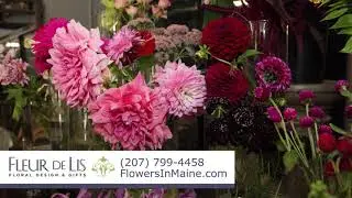 Fleur De Lis | Flowers in South Portland