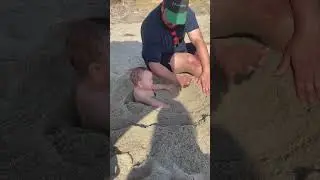 Fat Baby legs Gone #baby #babyshorts #beach #beachlife