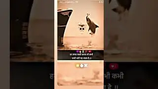 #freefire
