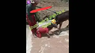 Jrah Vs Satya 😁😁😂😂😁😂