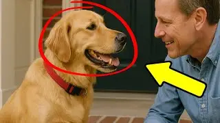 Abandoned Dog Keeps Sitting At Same Doorstep&mdash;Neighbor Finally Asks Why