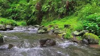 Shallow River Flow &ndash; Soothing Nature Sounds for Meditation