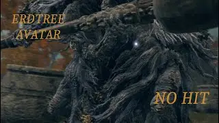 Elden Ring Erdtree Avatar No Hit
