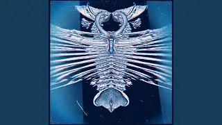 Clawing Through the Outer Veil