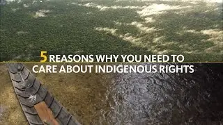 If you care about climate change, you should care about indigenous rights