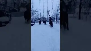 Horses in Snow #horse #horseriding #horsepower #viralshorts #ekmotahathighumechala