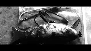 Tentacle and the Worm | Scary Dark Ambient Horror Music