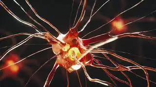 Heart Burn | C4D Render