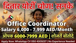 दुबई जॉब अलर्ट 🔥 Office Coordinator 7000 AED Salary 💰 Freshers Apply Now! 🚨🇦🇪