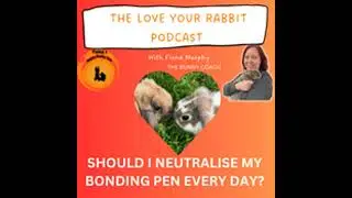 Should I Neutralise my Bonding Pen Every Day?!