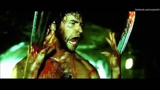 The Wolverine 
