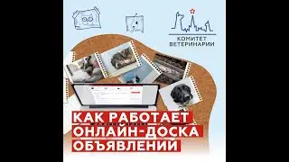 Поиск пропавших животных на mos.ru | #shorts