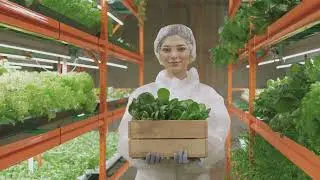 Climate-Proofing Farms: The AI Revolution You Haven't Seen