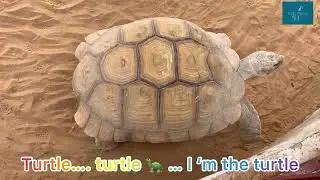 The Tortoise Rhyme | Turtle song for Kids | Baby Learning Educational Songs & Nursery Rhymes