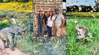 YALA SAFARI #Yala National Park #Sri lanka