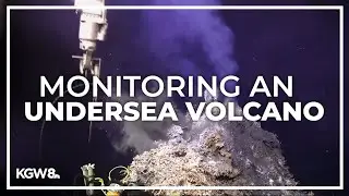 Active ocean volcano off the coast of Oregon could erupt in 2025
