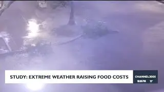 Extreme weather caused by climate change making food products more expensive