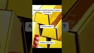 Bitcoin and Gold are true wealth.  #life #motivation #wealthyminds #fadysrour #millionaire