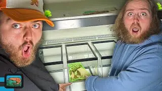 Building Our Shrimp Breeding Tank and Going to Uline! - Shrimp Vlog 1