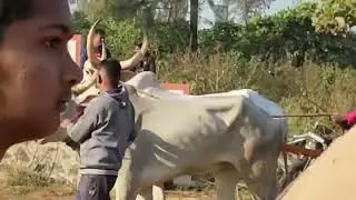 साताड बंदर 30.11.2025 सरावाची झलक