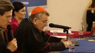 Kardinal Burke &uuml;ber die Piusbruderschaft