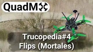 Trucopedia#4 Flips- Español