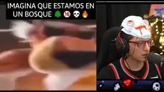 IMAGINA QUE ESTAMOS EN UN BOSQUE 💀🌳🔥