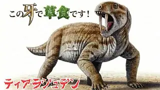 2億6000万年前の世界にいた“異形の獣”ティアラジュデンとは何者か？【ゆっくり解説】