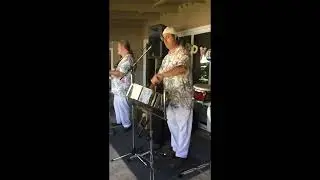 Don't Worry Baby (Beach Boys) on Steel Drum