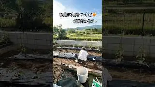 マイホーム購入🏠お庭に畑をつくる！　#家庭菜園 #畑 #マイホーム #土作り #diy #看護師の休日
