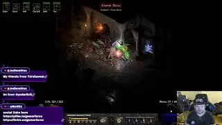 playing diablo 2 Druid class