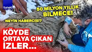 Bingöl’de 50 milyon yıllık sır: Köyün altından bakın ne çıktı?