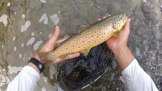 Riserva Gorreto nel tratto a mosca - Pesca a mosca - Fly fishing videos